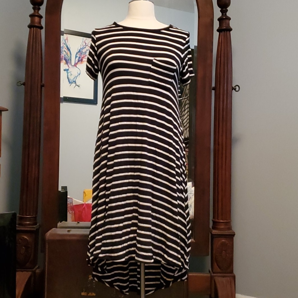 Lularoe Carly swing dress